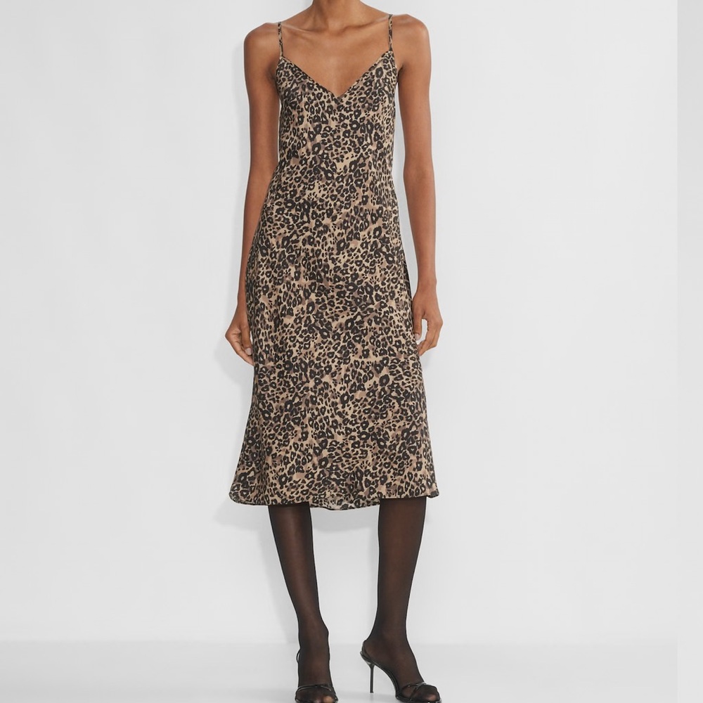 Aritzia Midi Dress